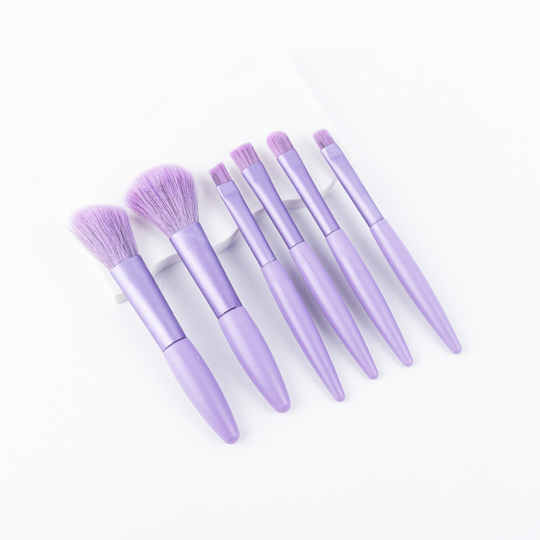 SET DE BROCHAS 6PCS
