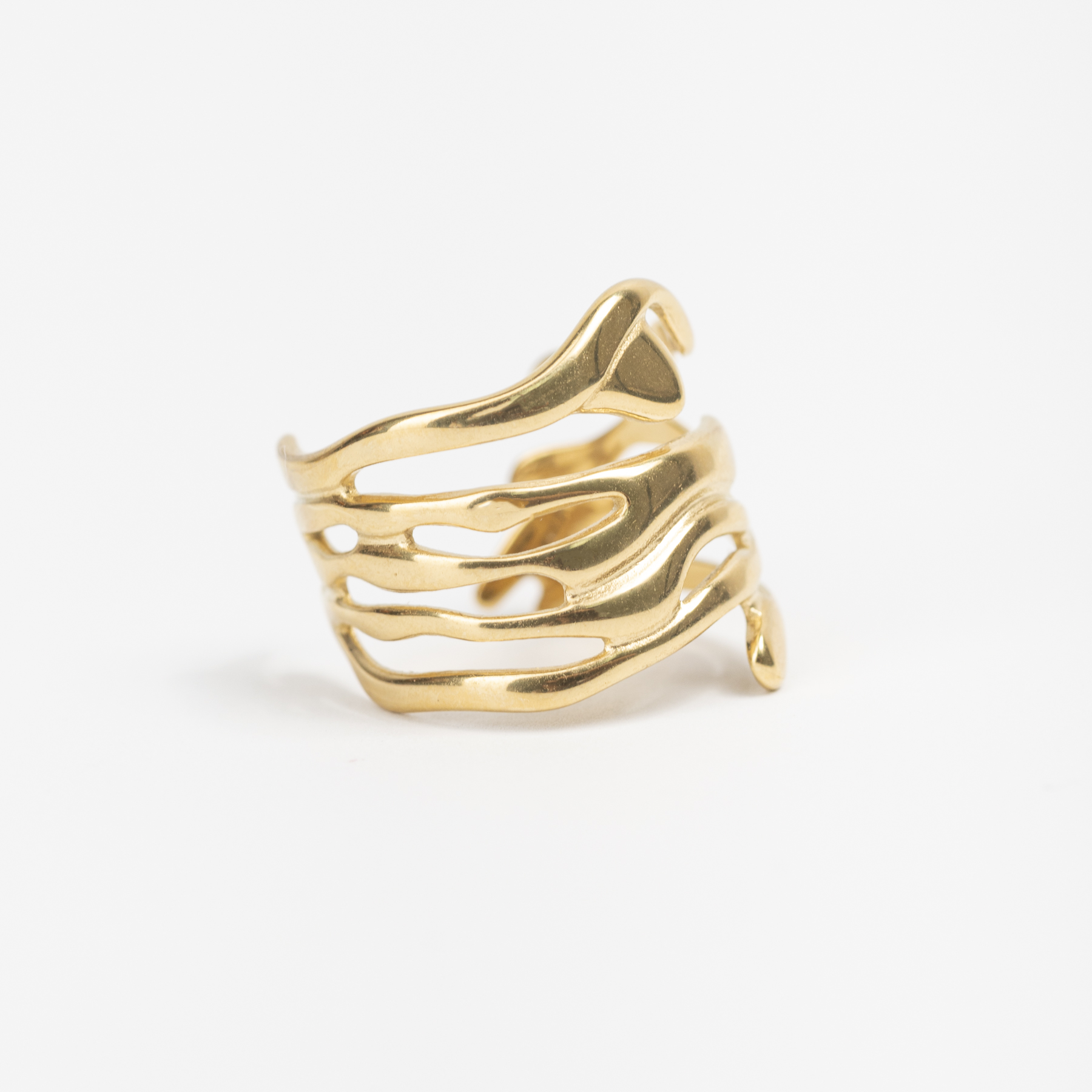 ANILLO