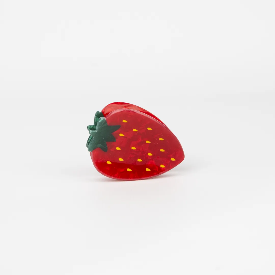 BROCHE PARA EL CABELLO